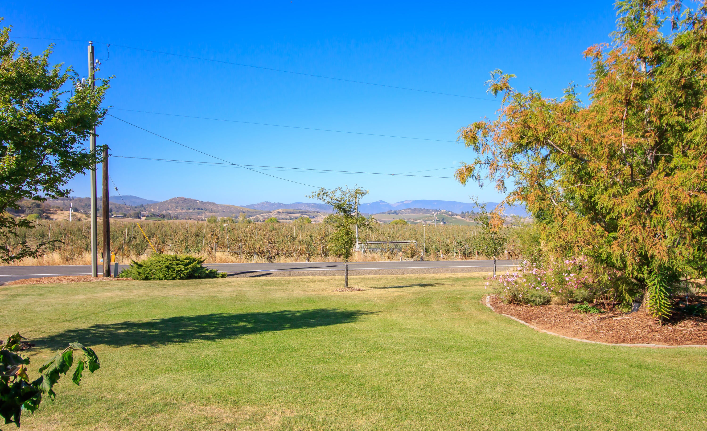 3685 Coleman Creek Road Medford, OR 97501 - Photo 5 of 54 1F6A0804