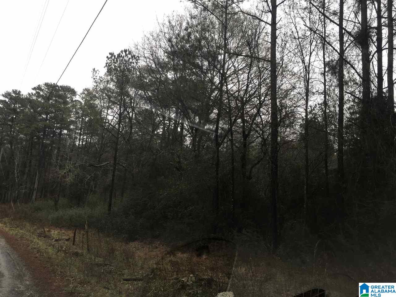 1245 Eureka Road, Unit 2 Lincoln, AL 35096 - Photo 22 of 32