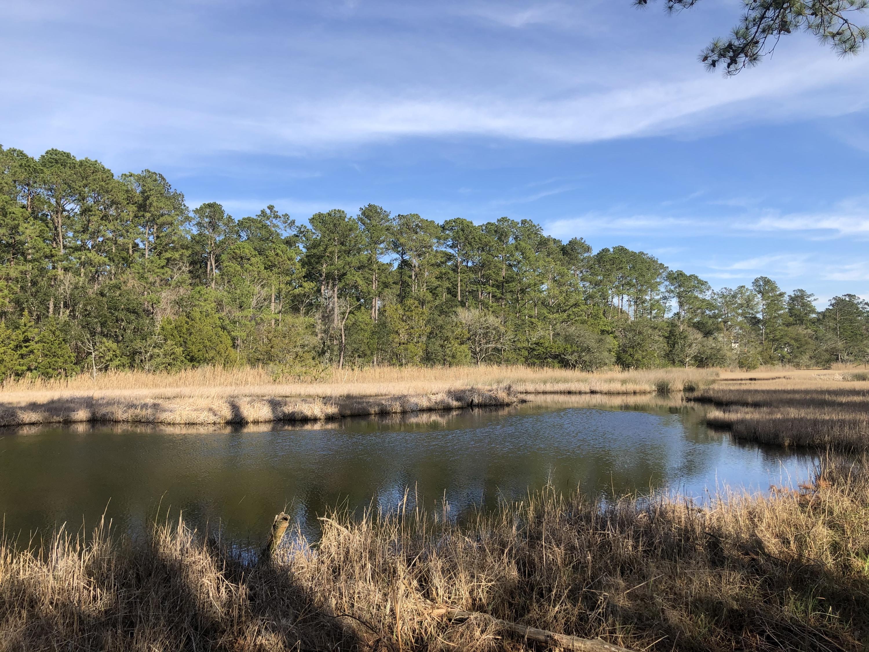 4251 Duck Club Road Hollywood, SC 29470 - Photo 1 of 59 95204CE3-5A53-4631-B8F0-503F33F04093