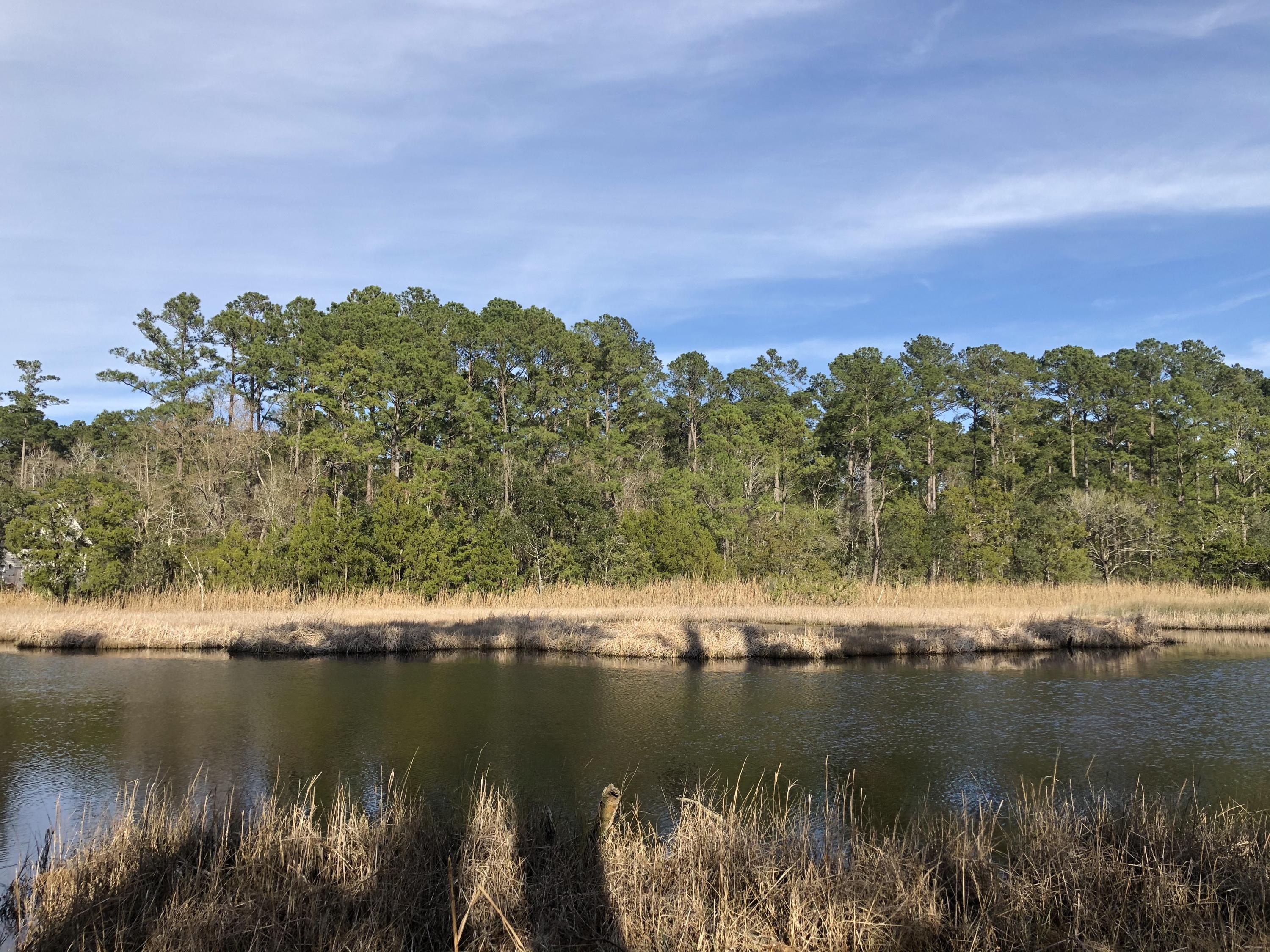 4251 Duck Club Road Hollywood, SC 29470 - Photo 2 of 59 E97944FC-EEC0-419E-A353-54D3AA00D438