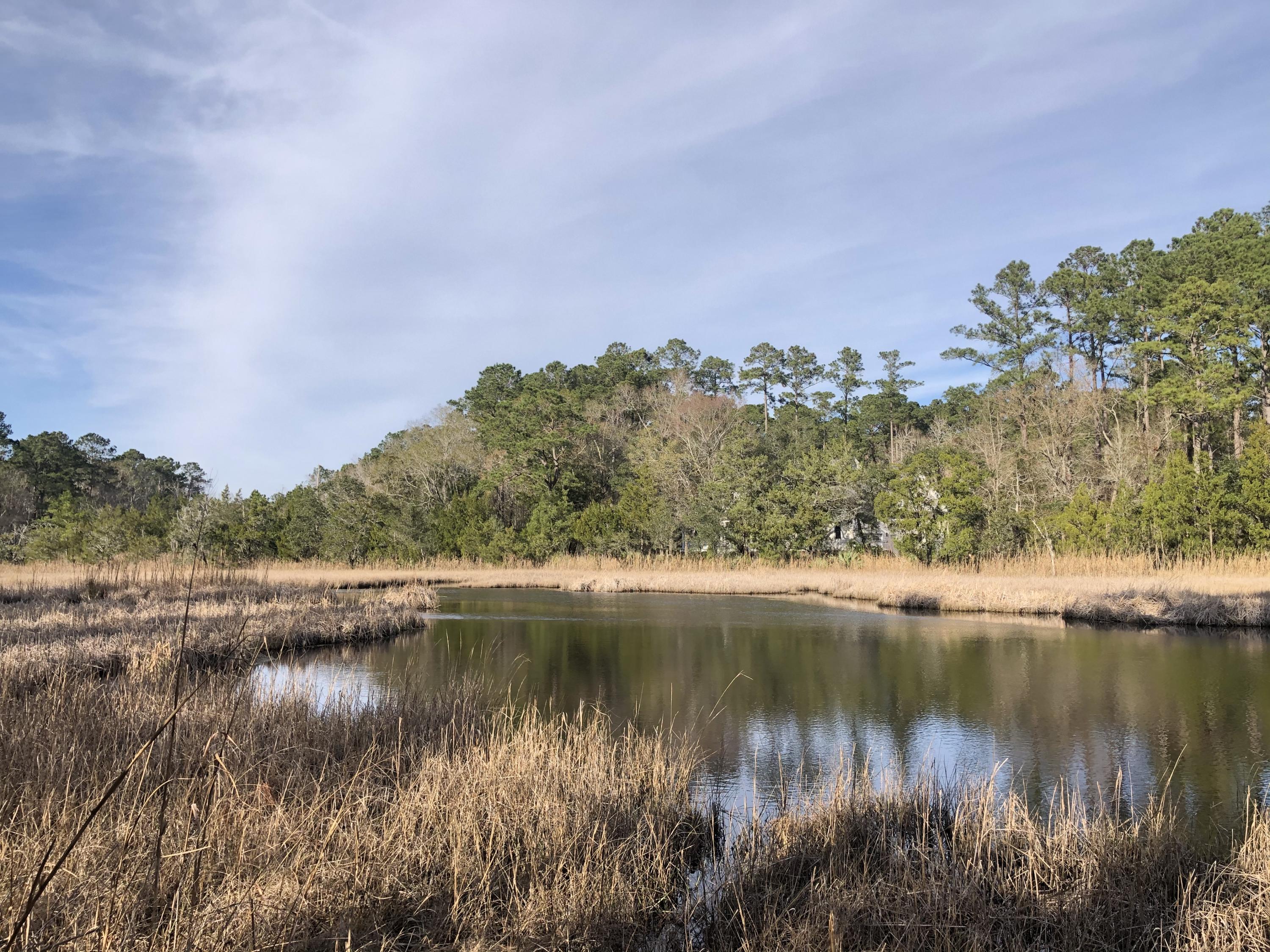 4251 Duck Club Road Hollywood, SC 29470 - Photo 3 of 59 23A4CDFF-576A-49C7-9D07-3788581BC16B