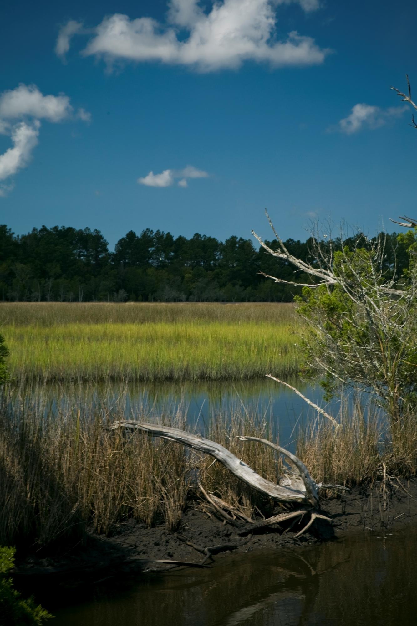 4251 Duck Club Road Hollywood, SC 29470 - Photo 9 of 59 Marsh 3 - Copy