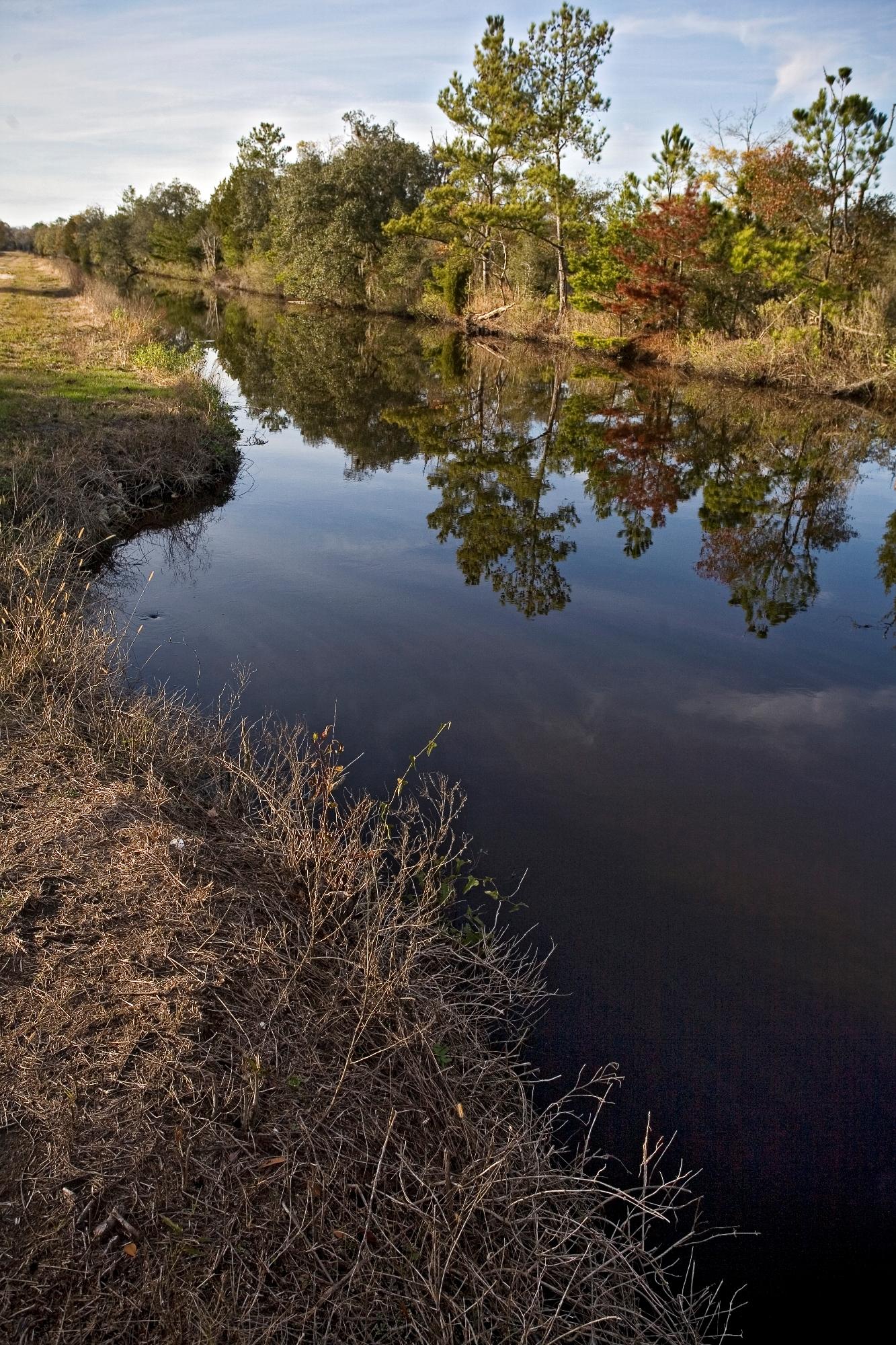 4251 Duck Club Road Hollywood, SC 29470 - Photo 10 of 59 Marsh Canals 3 - Copy