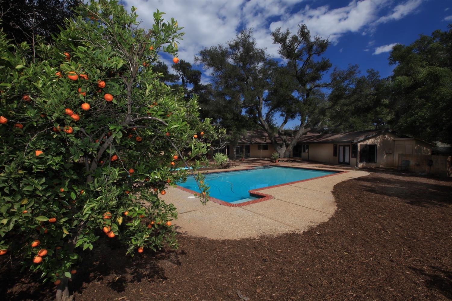 465 Del Norte Road Ojai, CA 93023 - Photo 21 of 48 Backyard Pool Area looking East