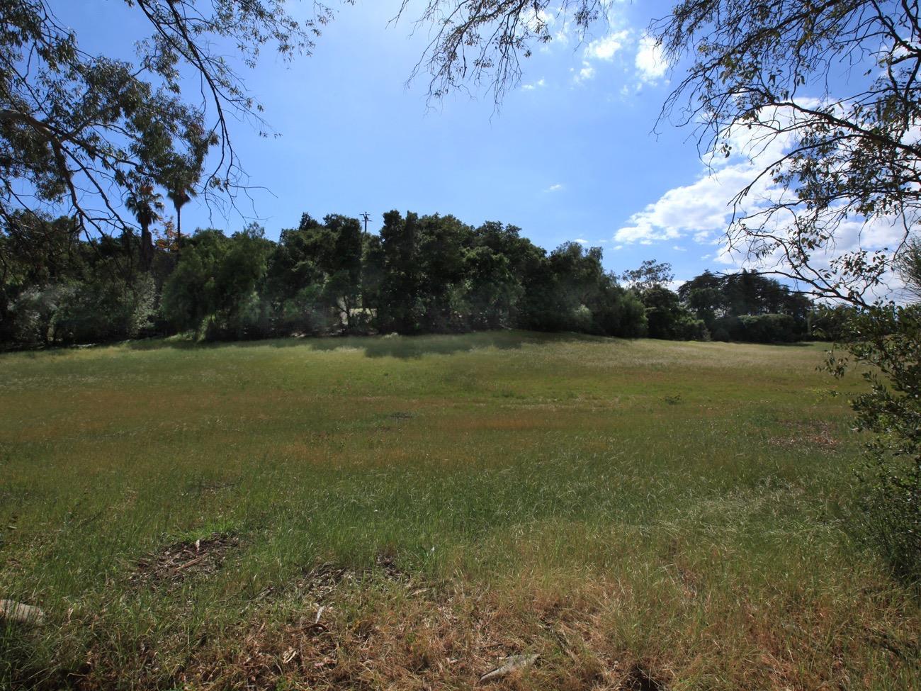 465 Del Norte Road Ojai, CA 93023 - Photo 45 of 48 Expansive Meadow at Westerly Border of Property. View Looking West