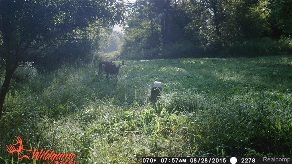Vl Slattery Road Attica, MI 48412 - Photo 19 of 21