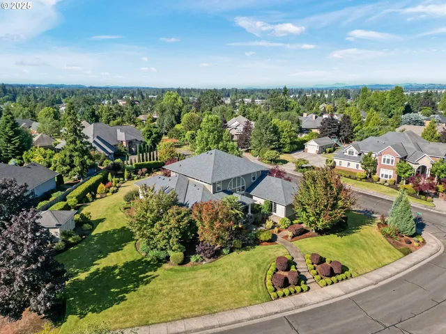 an aerial view of a house with a yard and potted plants