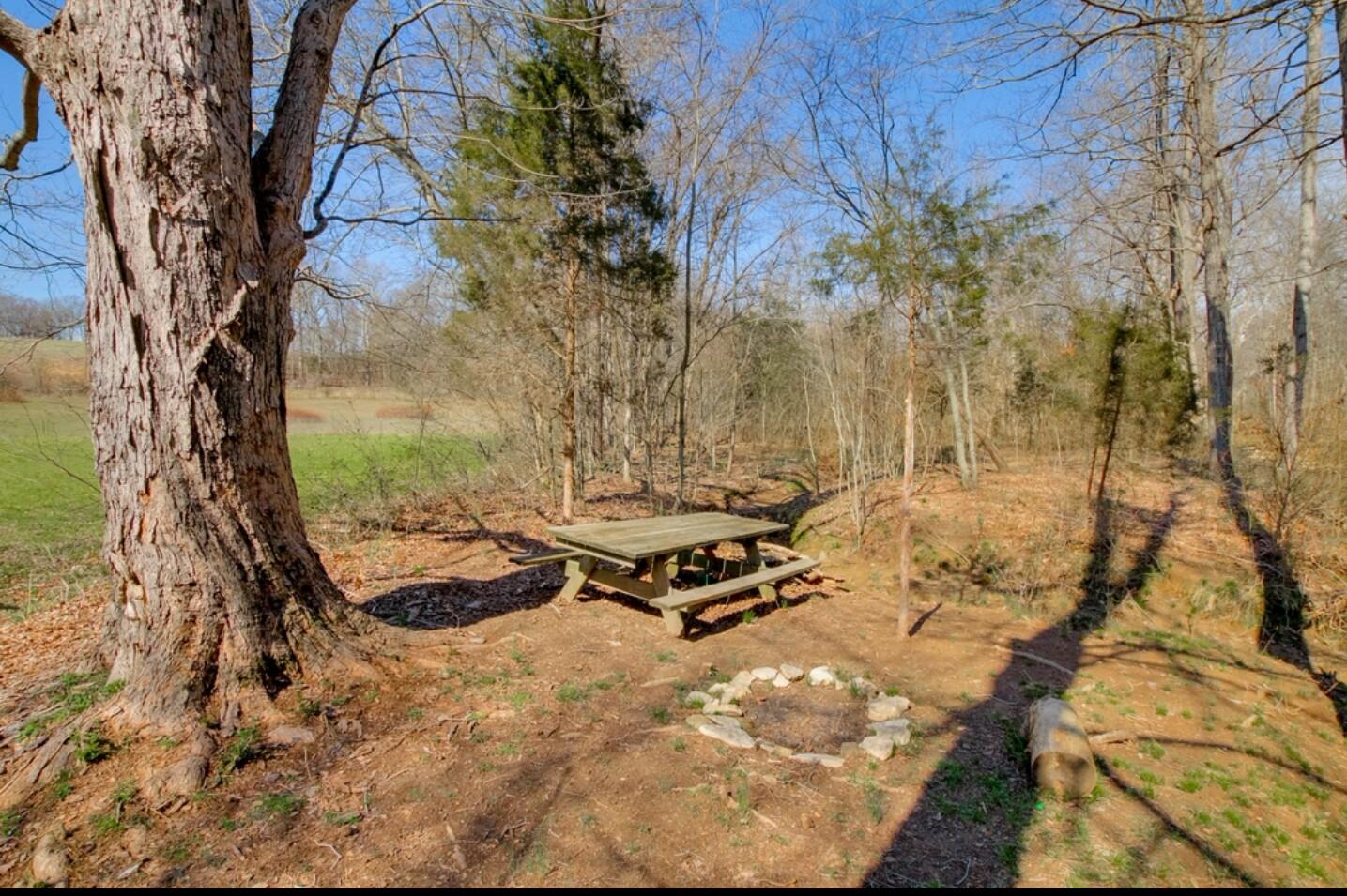 3661 Armstrong Road Springfield, TN 37172 - Photo 16 of 19 a view of a backyard with wooden fence