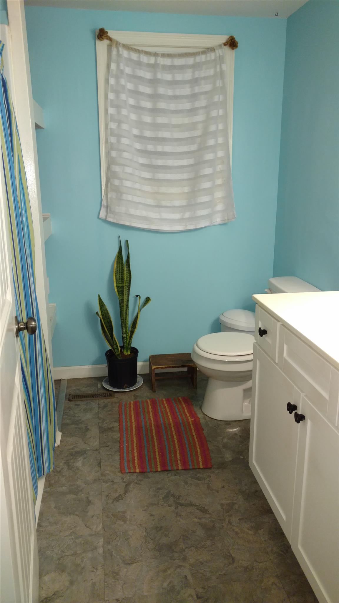 3661 Armstrong Road Springfield, TN 37172 - Photo 6 of 19 a bathroom with a toilet a sink and a mirror