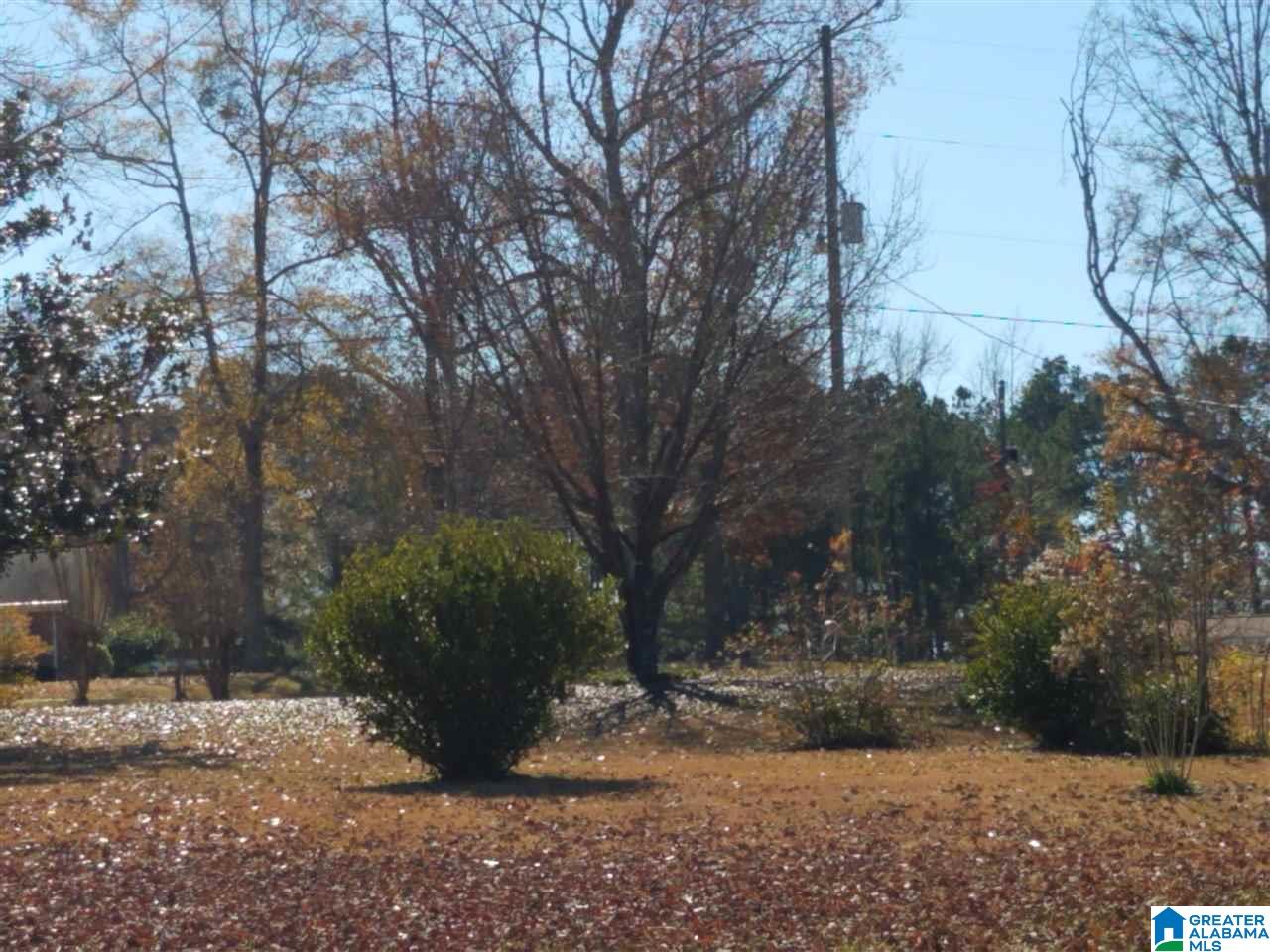 383 Pine Hill Road Jemison, AL 35085 - Photo 13 of 14