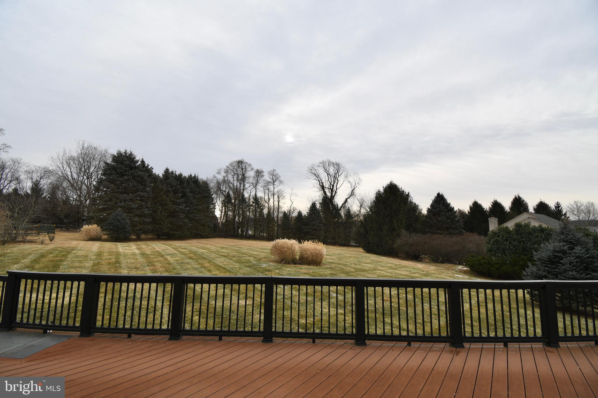 116 Three Ponds Lane Malvern, PA 19355 - Photo 3 of 40 Private Backyard