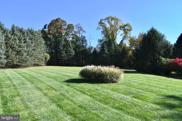 a view of a green field