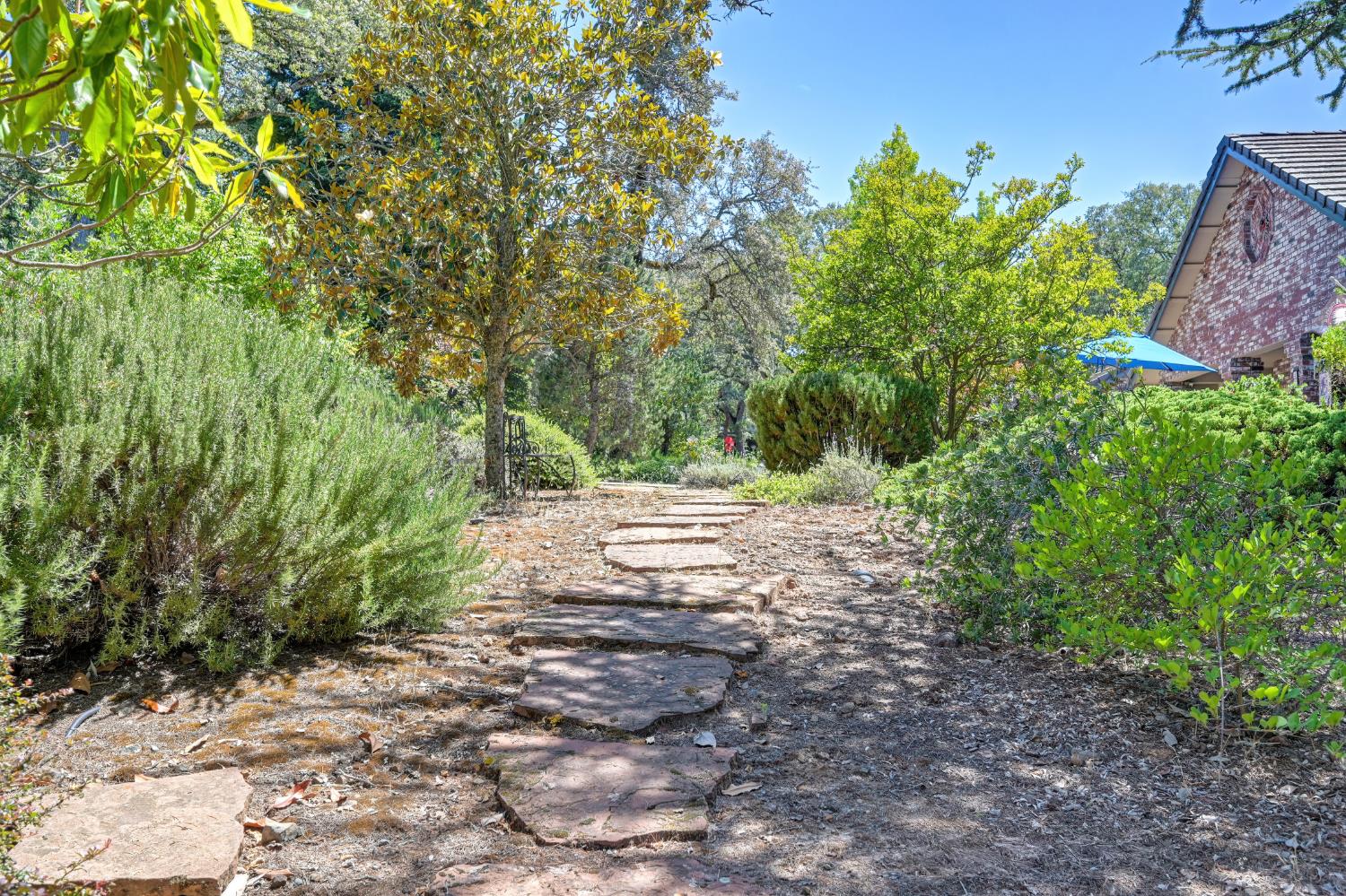 23234 Hidden Ranch Road Auburn, CA 95602 - Photo 71 of 81