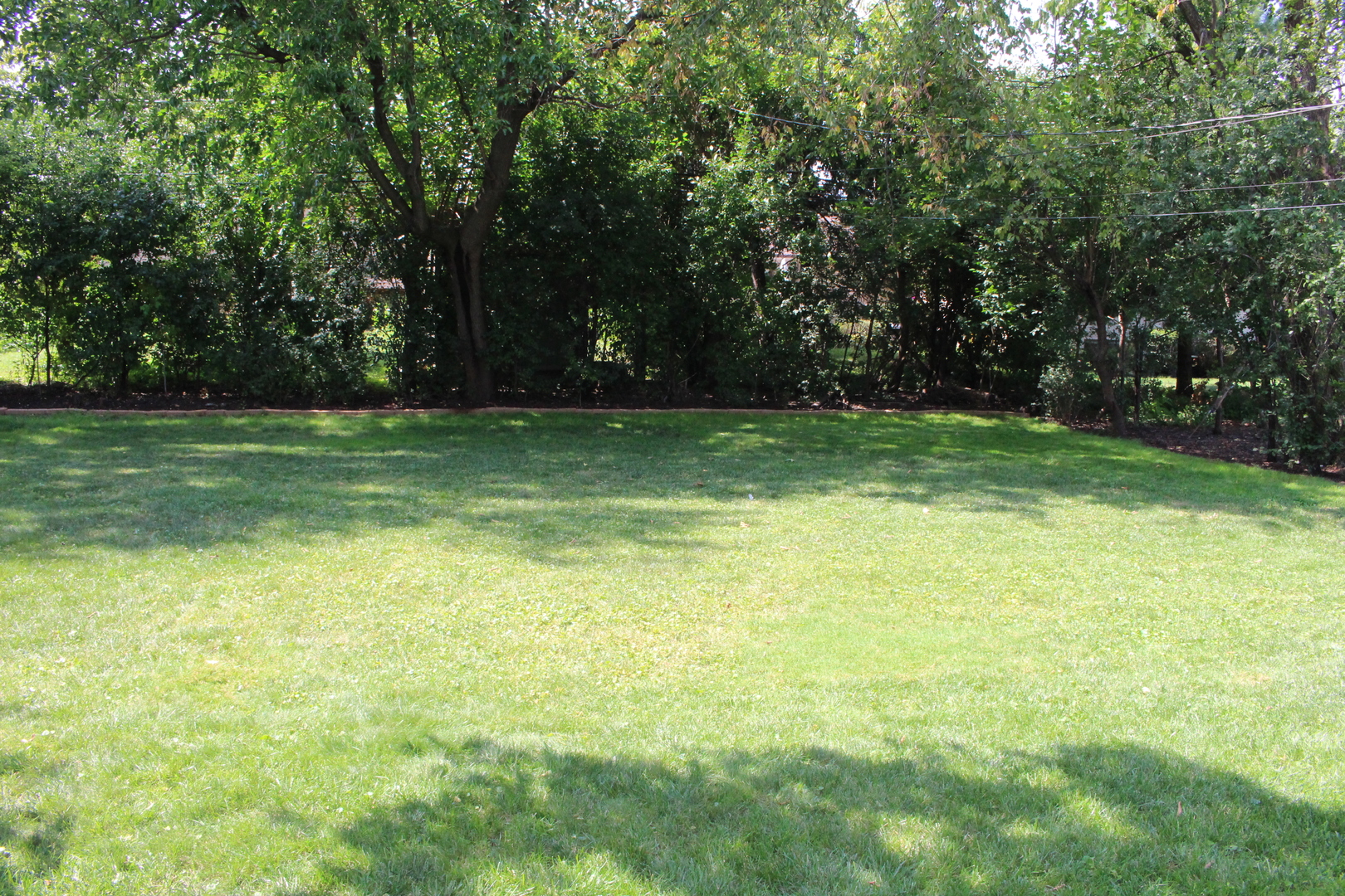 Undisclosed Address Elmhurst, IL 60126 - Photo 40 of 42 a view of a yard