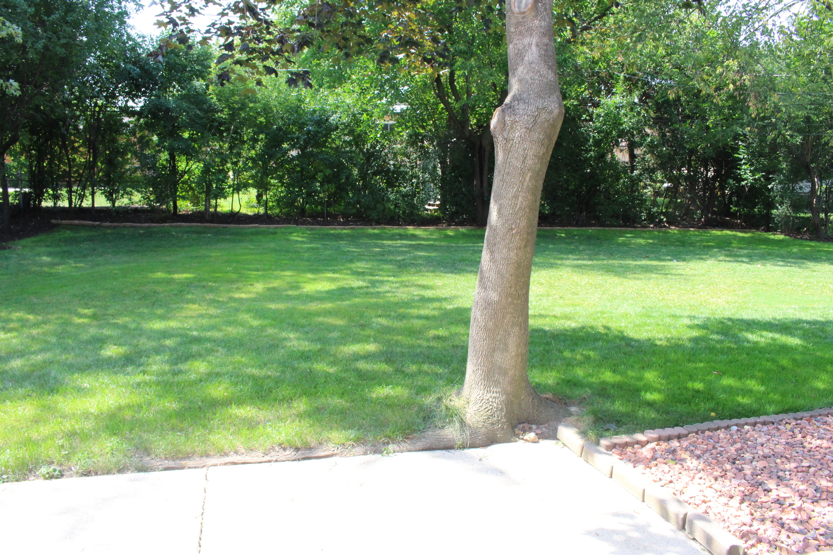 Undisclosed Address Elmhurst, IL 60126 - Photo 41 of 42