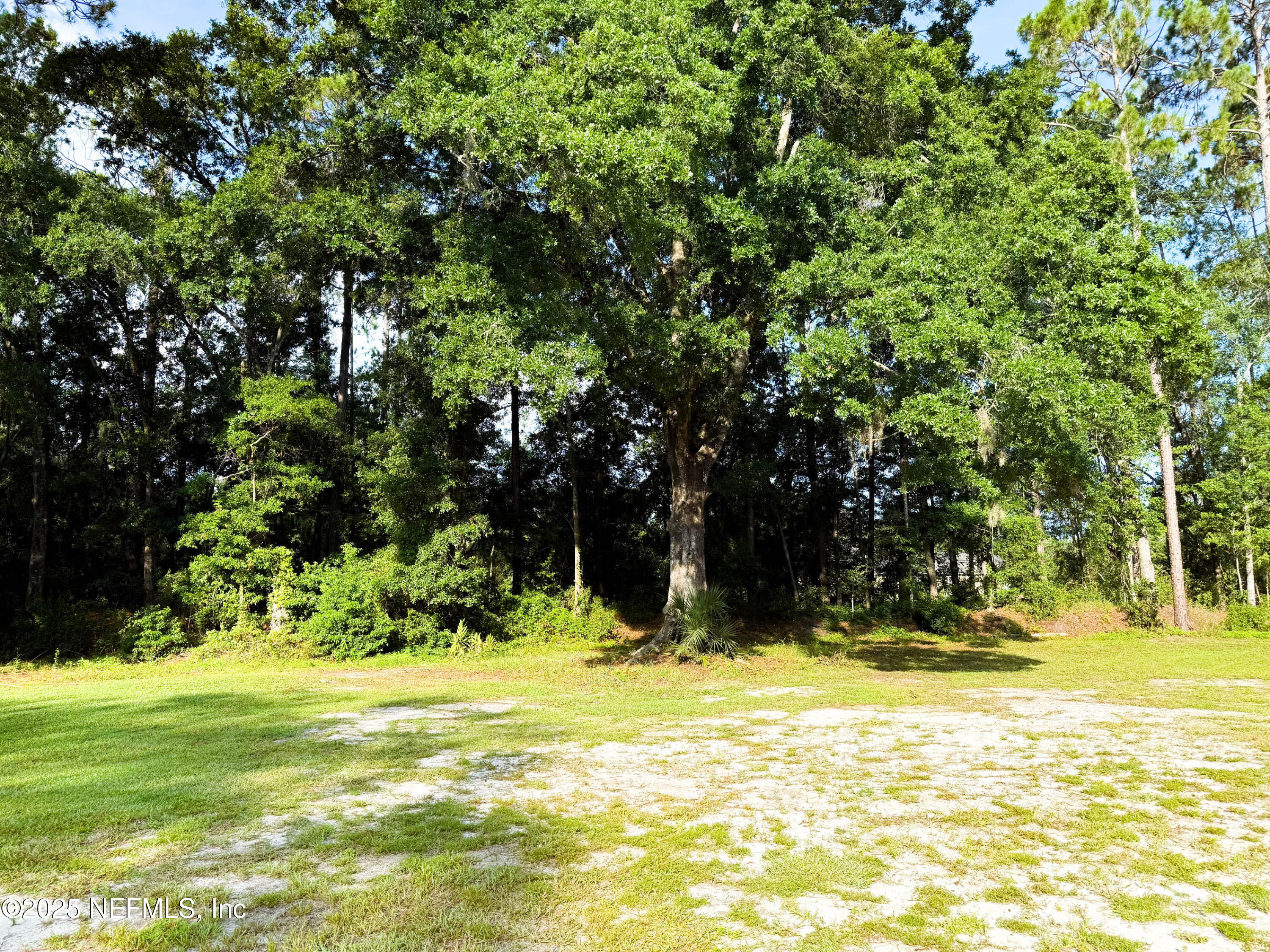 15904 Northeast 15th Place Starke, FL 32091 - Photo 22 of 22 IMG_6283