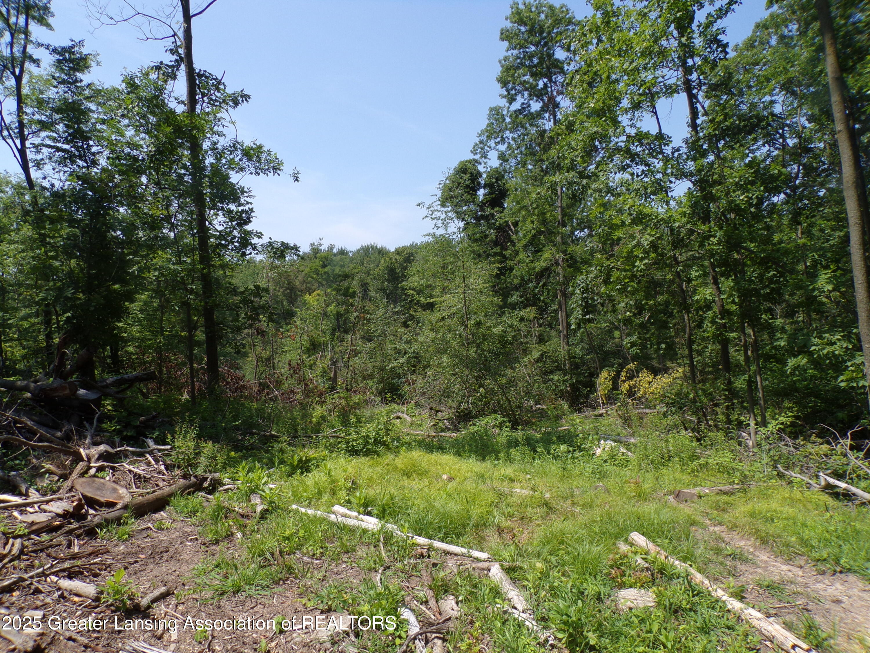 0 South Lacey Lake Road Bellevue, MI 49021 - Photo 4 of 12 101_0614