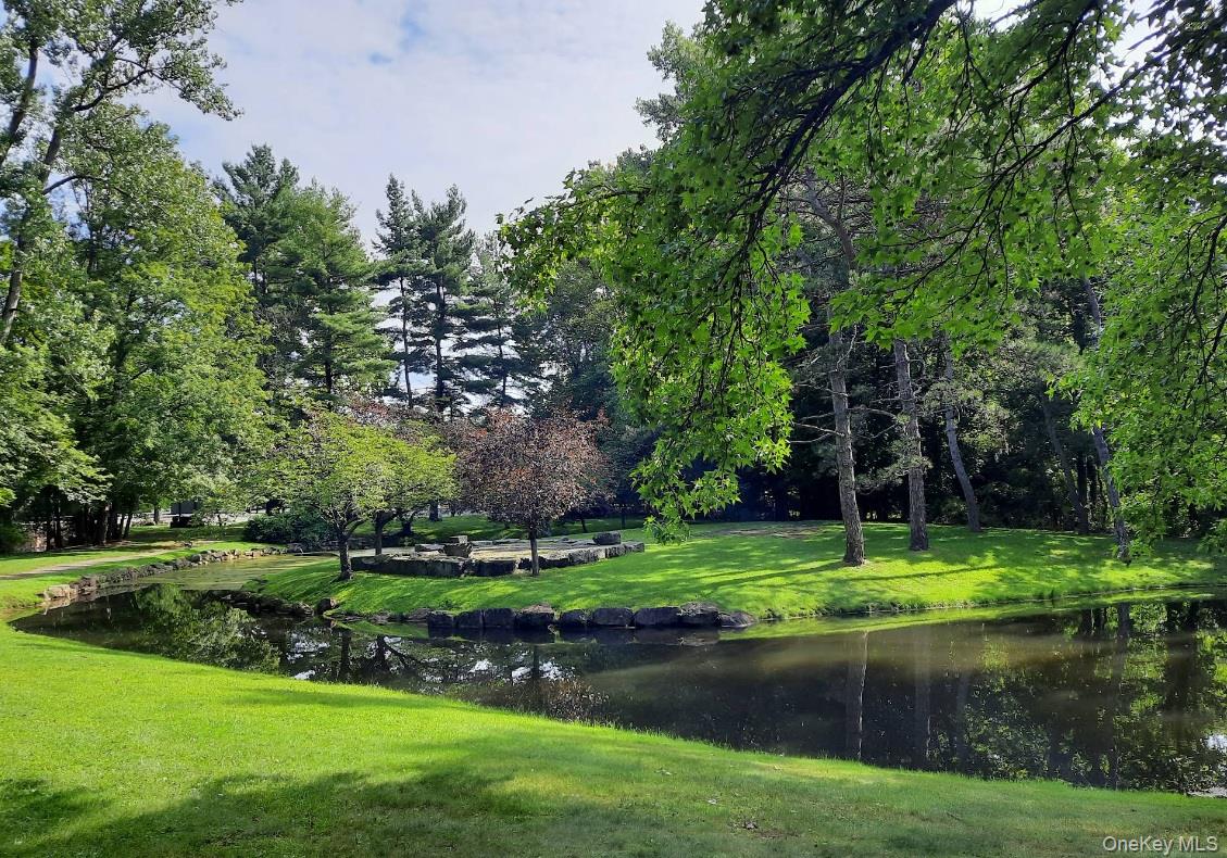 60 Main Street Tappan, NY 10983 - Photo 22 of 22 a view of a park with large trees