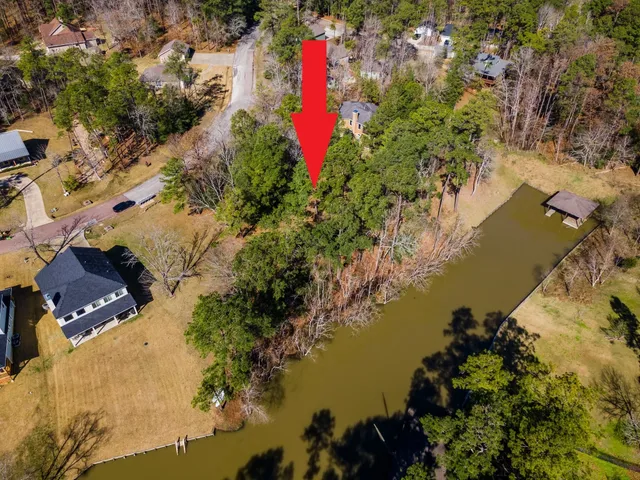 a view of a yard with plants and trees