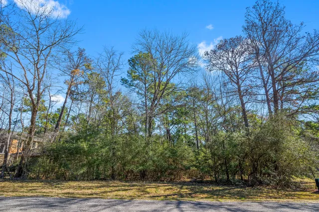 a view of a yard with an outdoor space