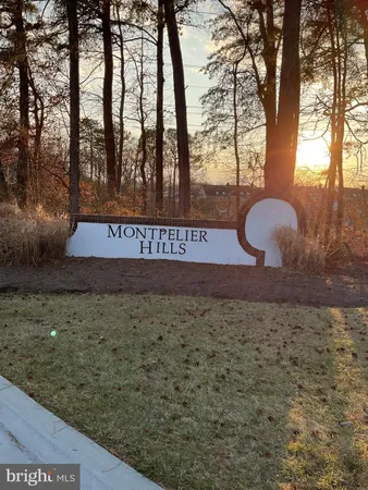 a view of a bench under a large tree