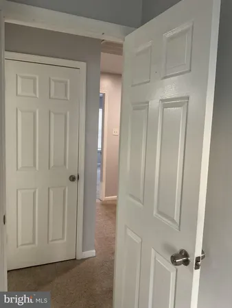 a bathroom with a shower and a toilet