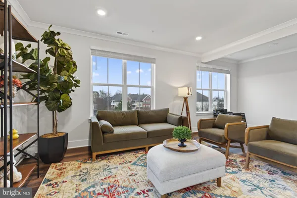 a living room with furniture potted plant and a window