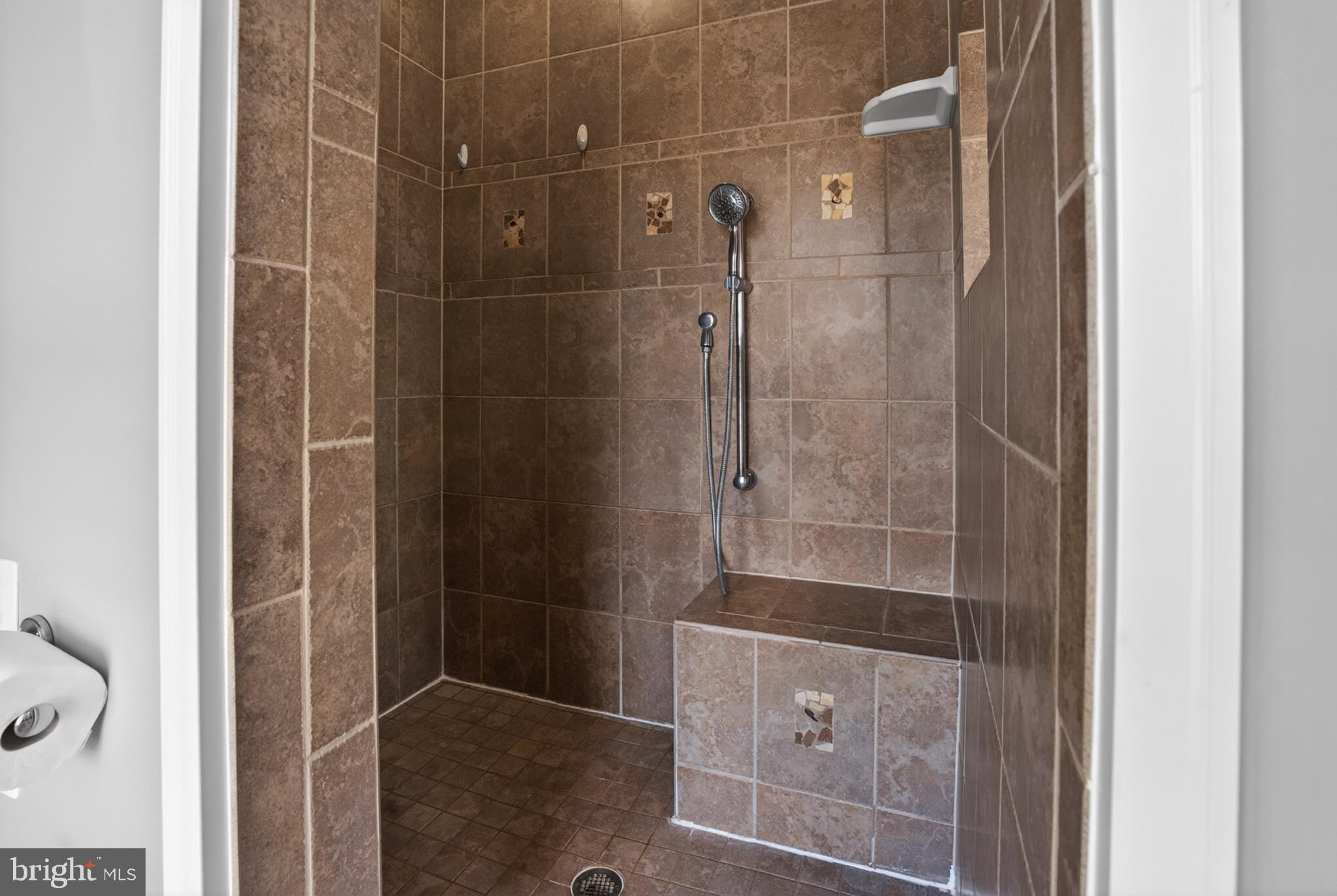 2435 Payne Road Pocomoke City, MD 21851 - Photo 44 of 75 Elegant tiled shower retreat.