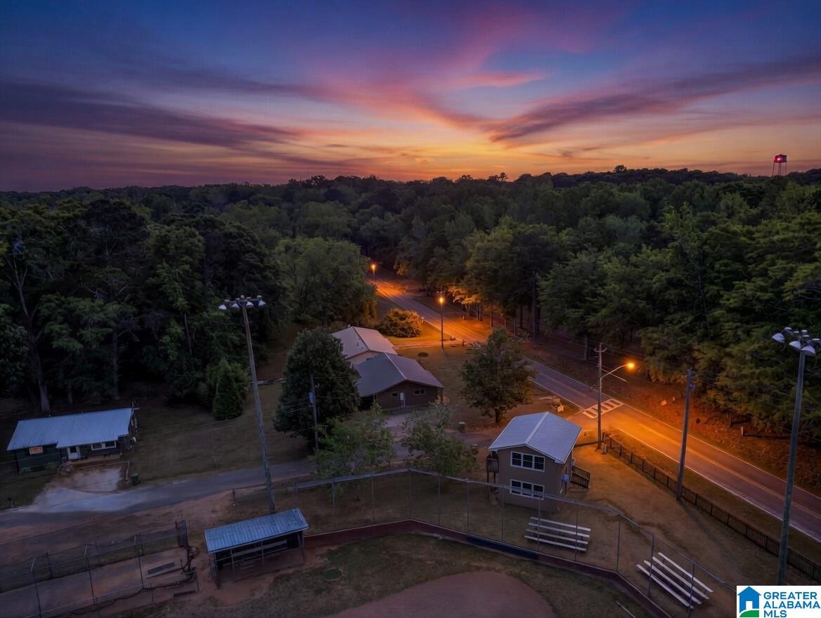 23 Williamson Road Ashland, AL 36251 - Photo 7 of 38
