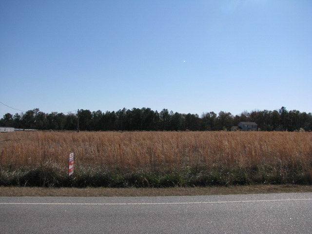 0 Browntown Road Bishopville, SC 29010 - Photo 1 of 1 Gallery Image 1