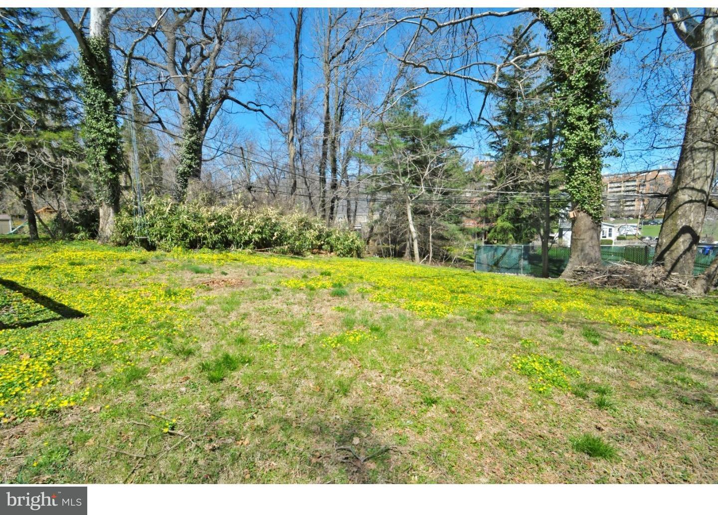 605 Webb Road Elkins Park, PA 19027 - Photo 23 of 25 Back Yard