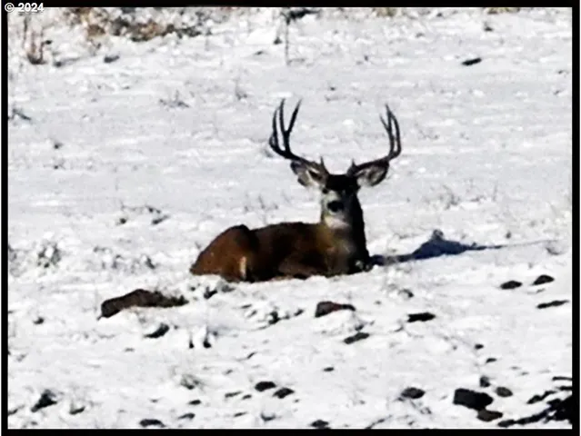 $1,800,000 | 50889 Highway 26, Mount Vernon, OR 97865