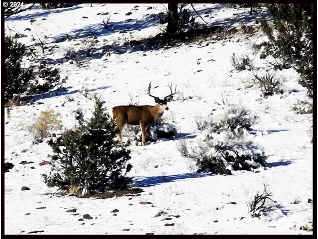 $1,800,000 | 50889 Highway 26, Mount Vernon, OR 97865