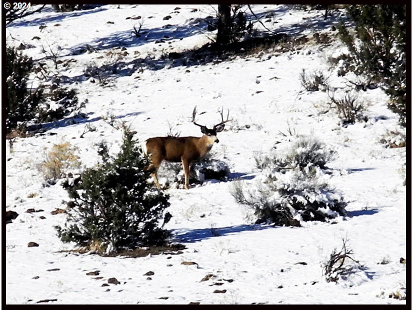 50889 Highway 26 Mount Vernon, OR 97865 - Photo 17 of 19