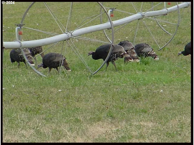 $1,800,000 | 50889 Highway 26, Mount Vernon, OR 97865