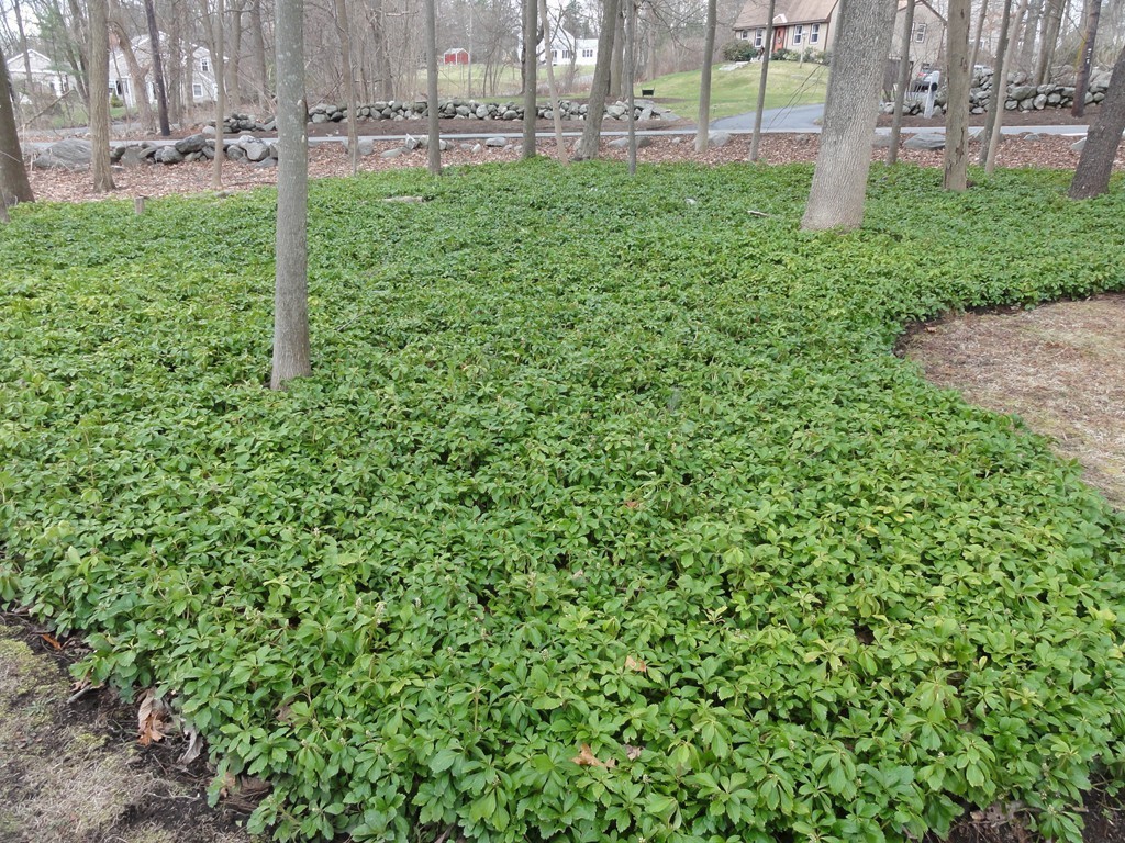 56 Concord Road Acton, MA 01720 - Photo 24 of 29 Gallery Image 24