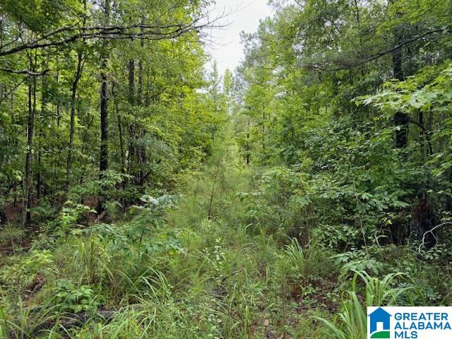 79 County Road, Unit 70 Daviston, AL 36256 - Photo 2 of 21 Gallery Image 2