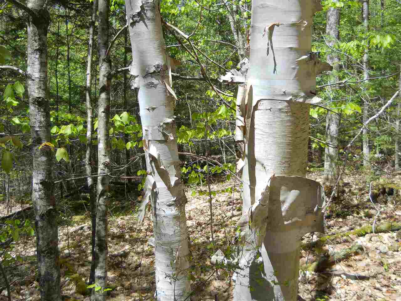 0 West Pass Road Cornish, NH 03745 - Photo 3 of 9 Gallery Image 3
