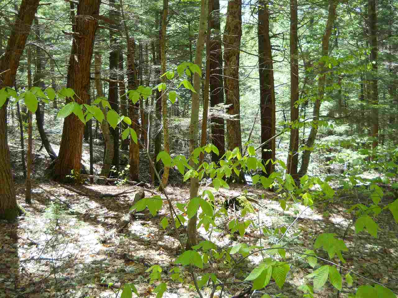 0 West Pass Road Cornish, NH 03745 - Photo 4 of 9 Gallery Image 4