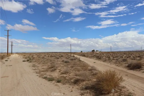 a view of a dry yard