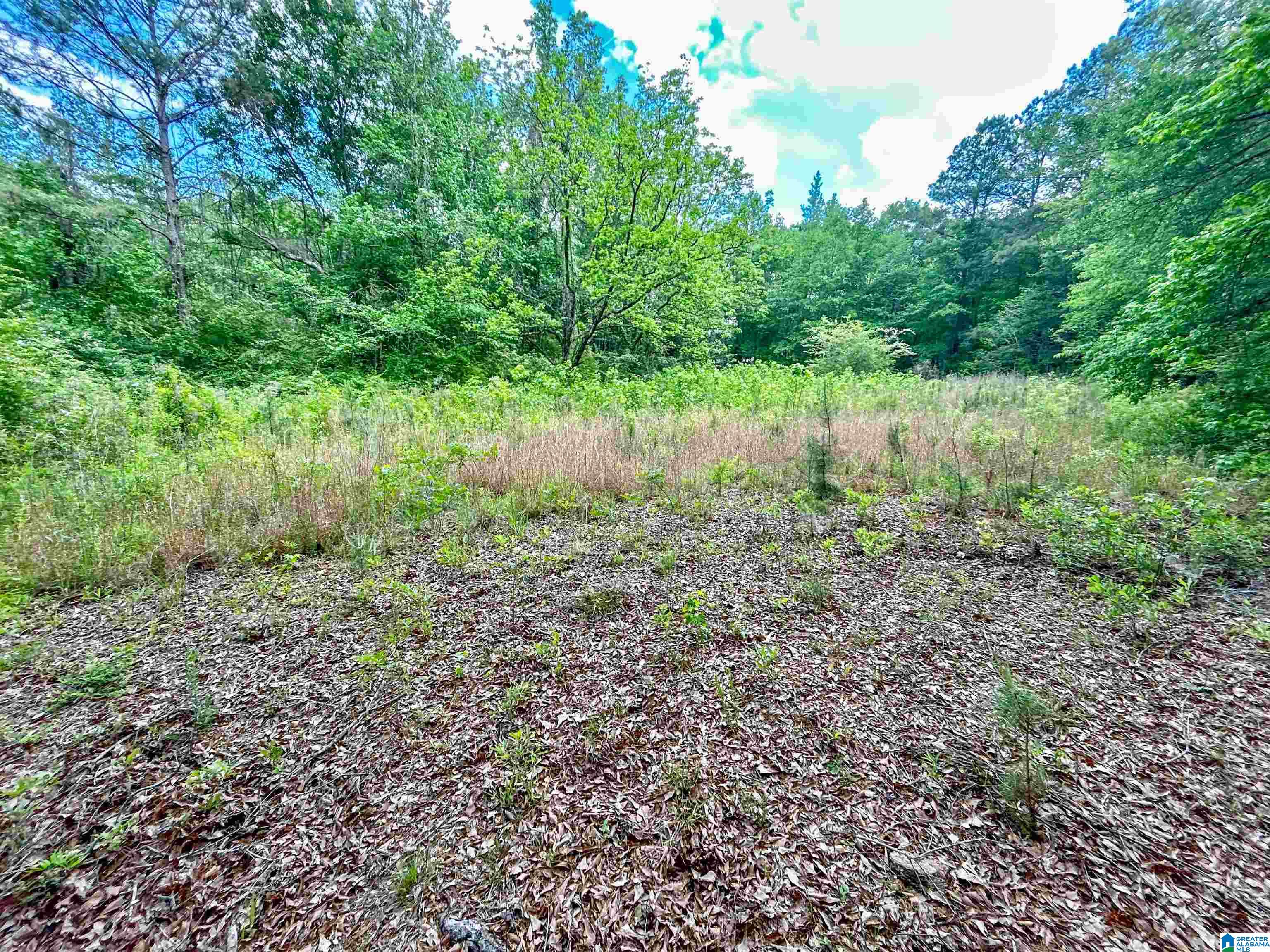 1 Old Mill Road Goodwater, AL 35072 - Photo 19 of 22