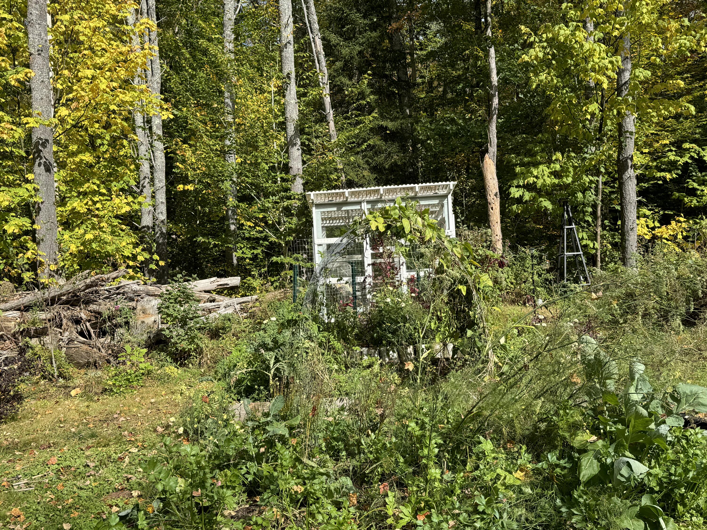 1150 Alna Road Alna, ME 04535 - Photo 13 of 44 IMG_9720