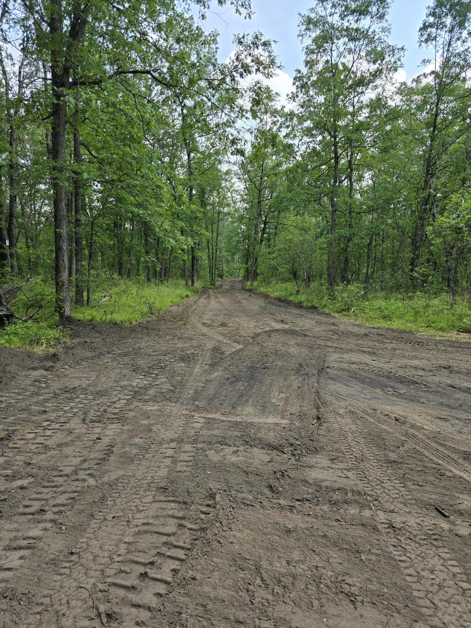 Irons Road Irons, MI 49644 - Photo 3 of 9 20240617_155327