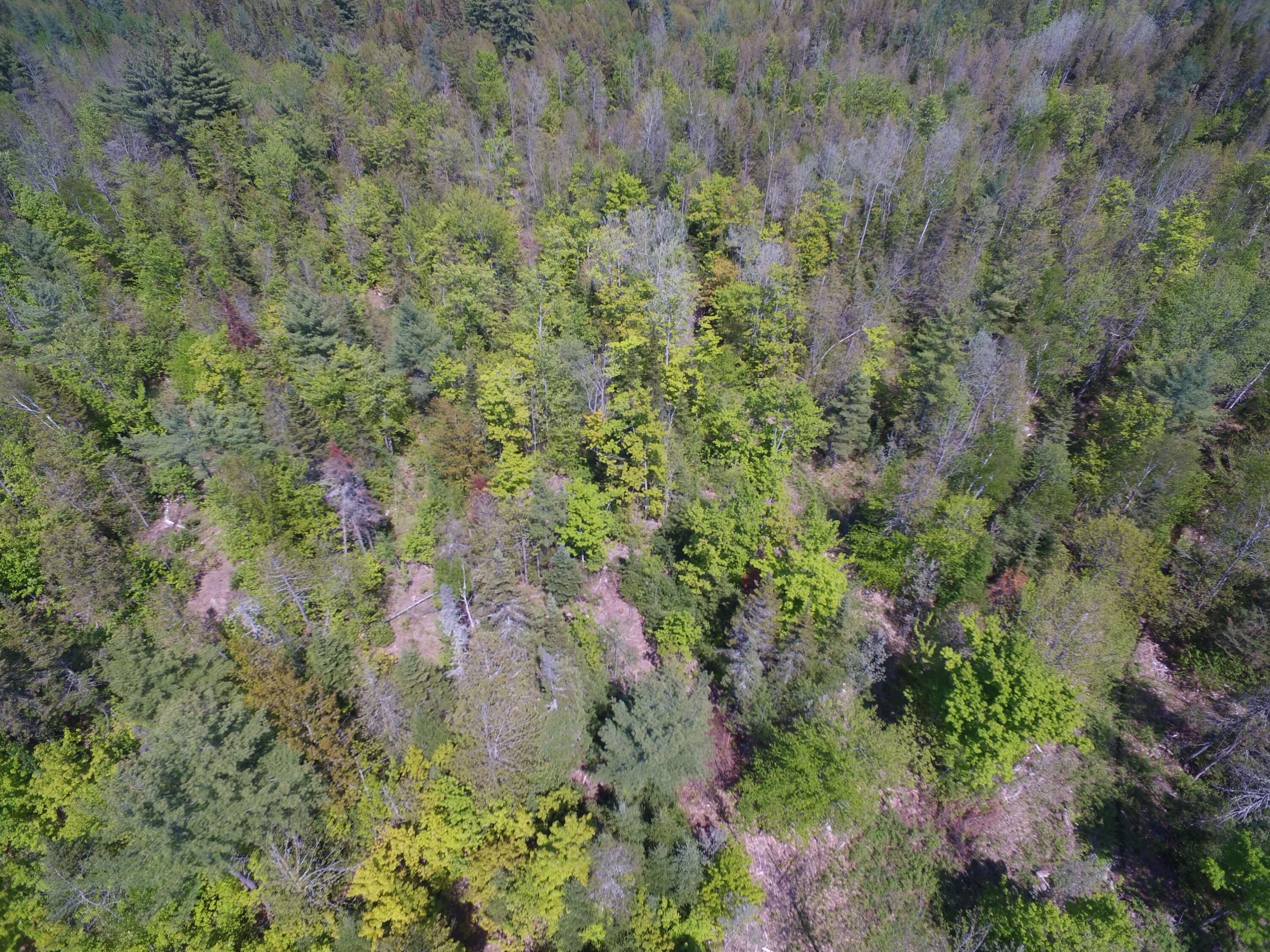 Lot 13 North Road Lee, ME 04455 - Photo 12 of 22 DJI_0028
