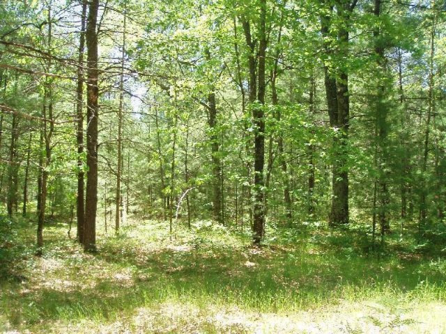 5525 9 Mile Bridge Road Manistee, MI 49660 - Photo 20 of 24 Additional Photo
