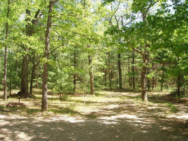 5525 9 Mile Bridge Road Manistee, MI 49660 - Photo 21 of 24 Additional Photo