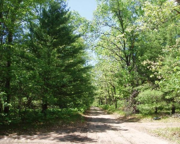 5525 9 Mile Bridge Road Manistee, MI 49660 - Photo 24 of 24 Additional Photo