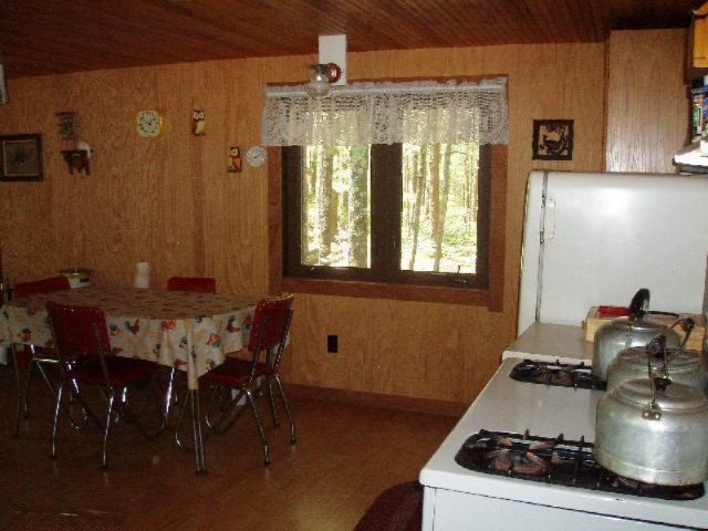 5525 9 Mile Bridge Road Manistee, MI 49660 - Photo 4 of 24 Additional Photo