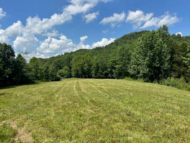0 Mt Tussell Road Knifley, KY 42753 - Photo 19 of 46 Gallery Image 19