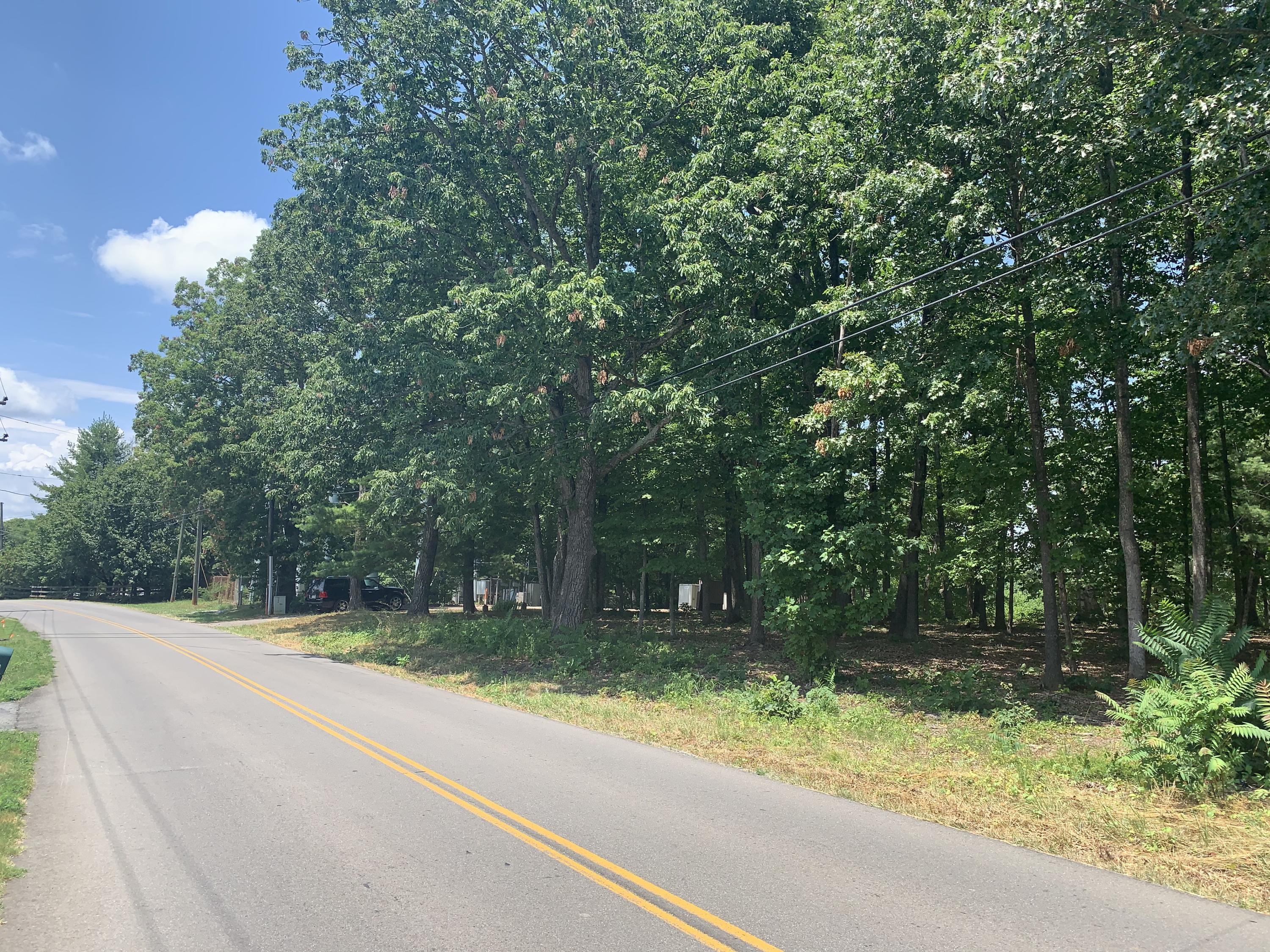 0 Scuffling Hill Road Rocky Mount, VA 24151 - Photo 1 of 1 a view of a yard with a large trees